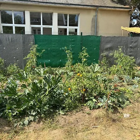 Friendly House - 8 Personnes